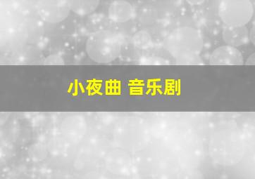 小夜曲 音乐剧